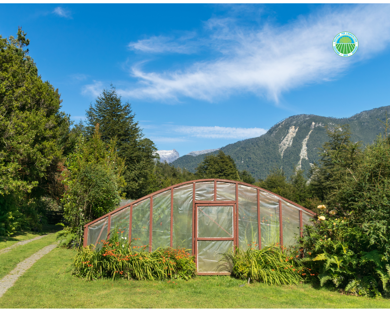 Serre orto e giardino per piante