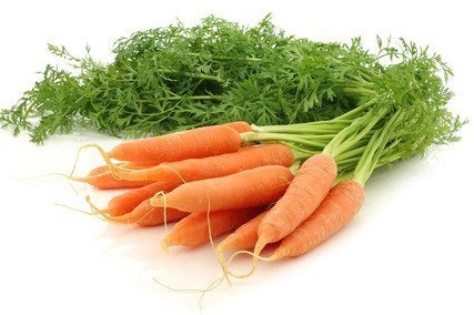 carote sane lotta preventiva equilibrio biologico