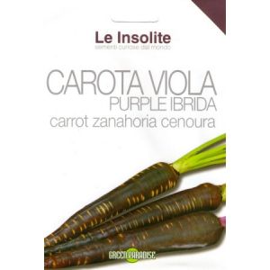 carota-da-seme-viola