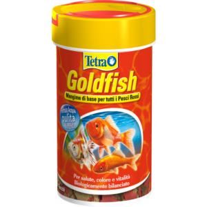 Tetra Goldfish fiocci