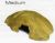REPTIL CAVES MEDIUM