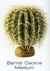 BARREL CACTUS MEDIUM - DESERT PLANTS