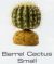 BARREL CACTUS SMALL - DESERT PLANTS