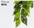 FICUS SILK SMALL - JUNGLE PLANTS