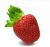 Fragola Florida Beauty