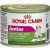 ROYAL CANIN MINI JUNIOR UMIDO GR.195
