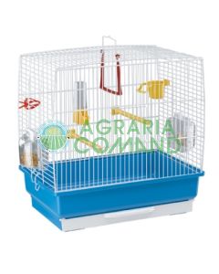 Rekord 2 gabbia