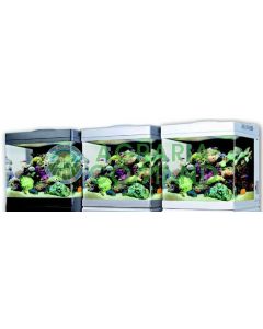ACQUARIO RED SEA MAX 130 