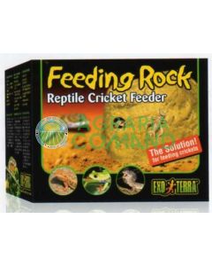 FEEDING ROCK