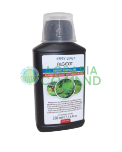 Algexit liquido