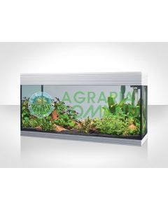 Askoll_Pure_Led_Xl
