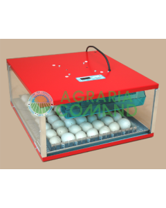 INCUBATRICE PER POLLI BRAHMA 50 