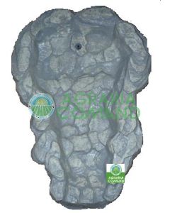 CASCATA SASSO CM. 75*53