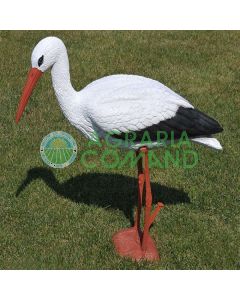 Cicogna ornamentale