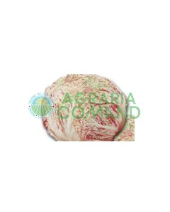 SEME DI CICORIA VARIEGATA CASTELFRANCO DI LUSIA  GR. 50  PRECOCE  formato calibrato