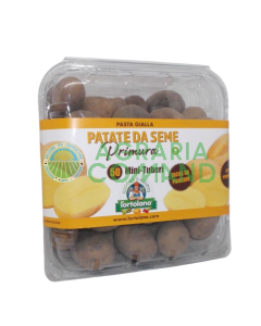 Confezione primura