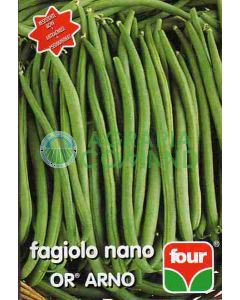 Fagiolo nano arno Four