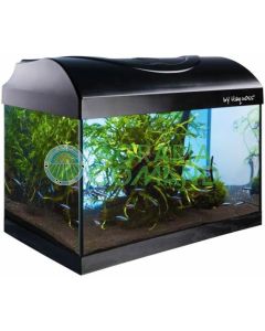 ACQUARIO DIVERSA 40 HAQUOSS LT.25