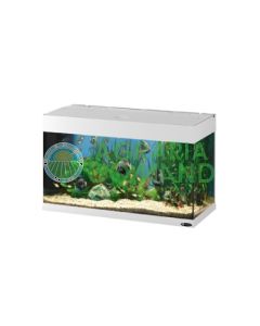 ACQUARIO DUBAI 80 BIANCO