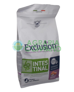 Exclusion Puppy Intestinal