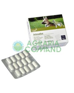 ARTOSALUS COMPRESSE  60 PZ.