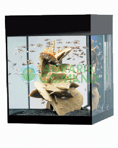 ACQUARIO PURE BLACK M ASKOLL   LT.44