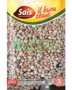 Lenticchia_da_seme_di_Nevola