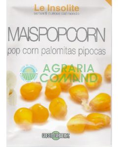 MAIS POP CORN