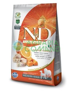n_d_merluzzo_arancia_zucca_taglia_media_grande