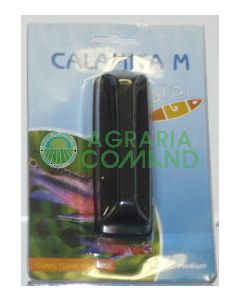 CALAMITA  MEDIUM
