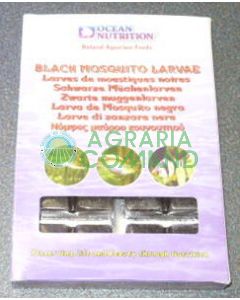 BLACK MOSQUITO LARVAE Larve di zanzara nere gr.100