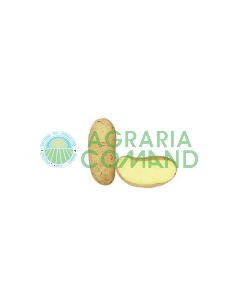 patata Almera