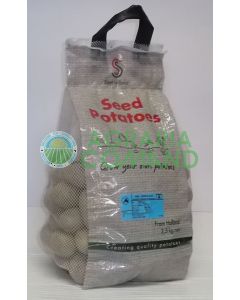 Patate_da_seme_varietà_Triplo_90_mini_tuberi