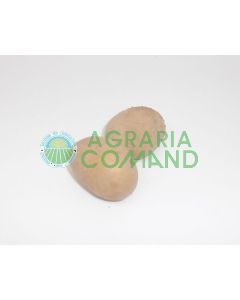 Patate primura