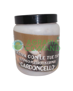 Micelio fresco Pleurotus Eryngii Cardoncello 1 lt.