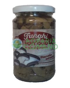 Pleurotus_in_olio_di girasole