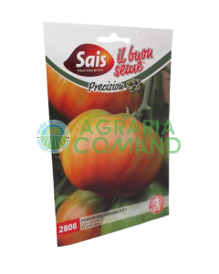 Pomodoro ibrido Veronica Sais