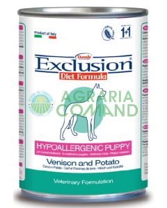 Exclusion_Hypoallergenic_puppy_umido