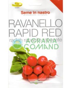 ravanello-nastro