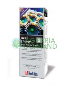 RED SEA REEF ENERGY  B   ML.500