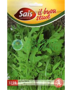RUCOLA ROKITA