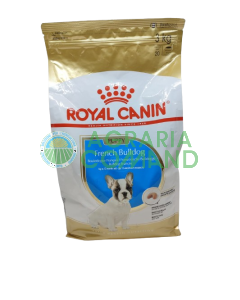 French Bulldog Puppy 3 kg