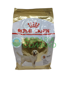 Labrador Retriever ADULT Crocchette kg 3 Royal Canin