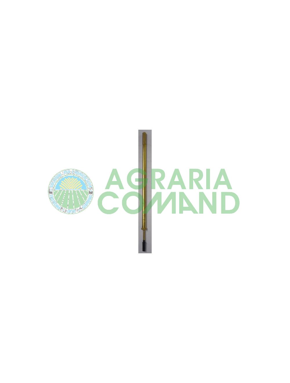 Ago iniettore per palme 200 mm