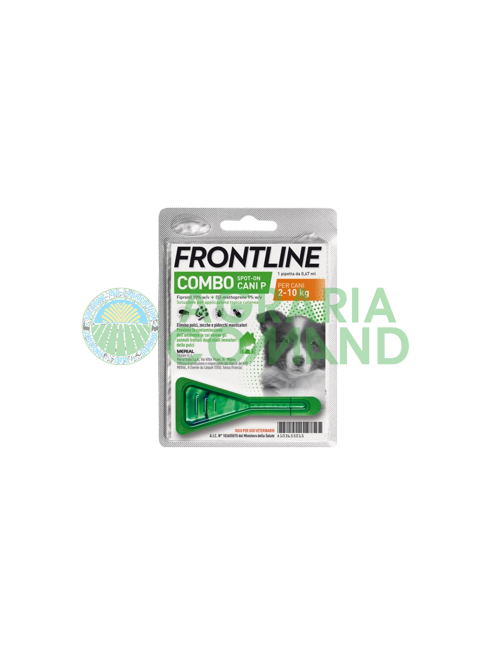 Frontline cucciolo
