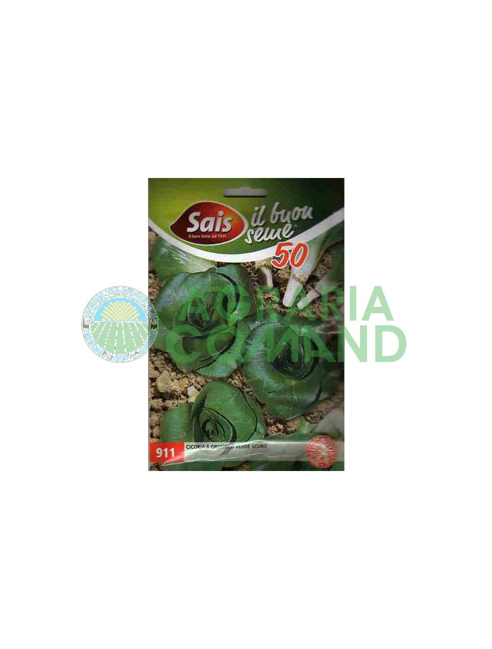 Seme Cicoria Grumolo verde scuro