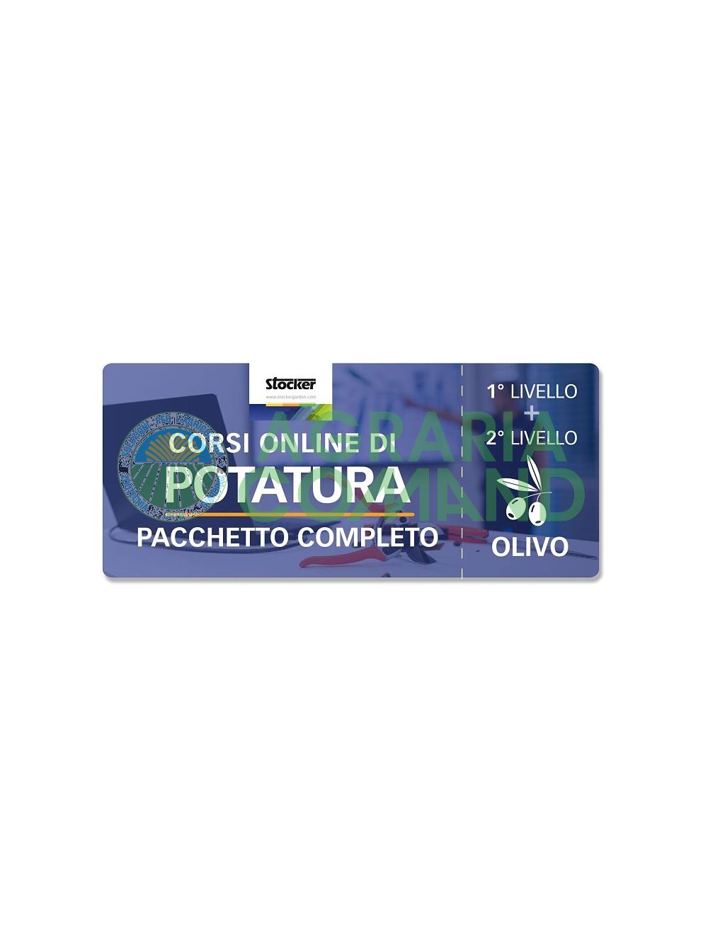 Corso potatura olivo Corso potatura olivo