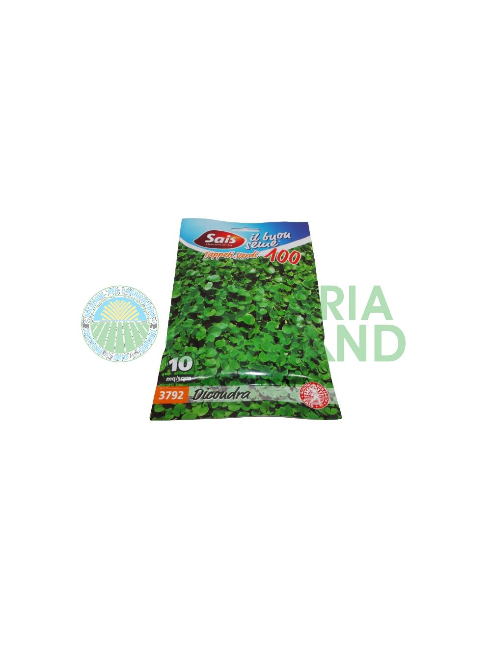 Dichondra repens seme