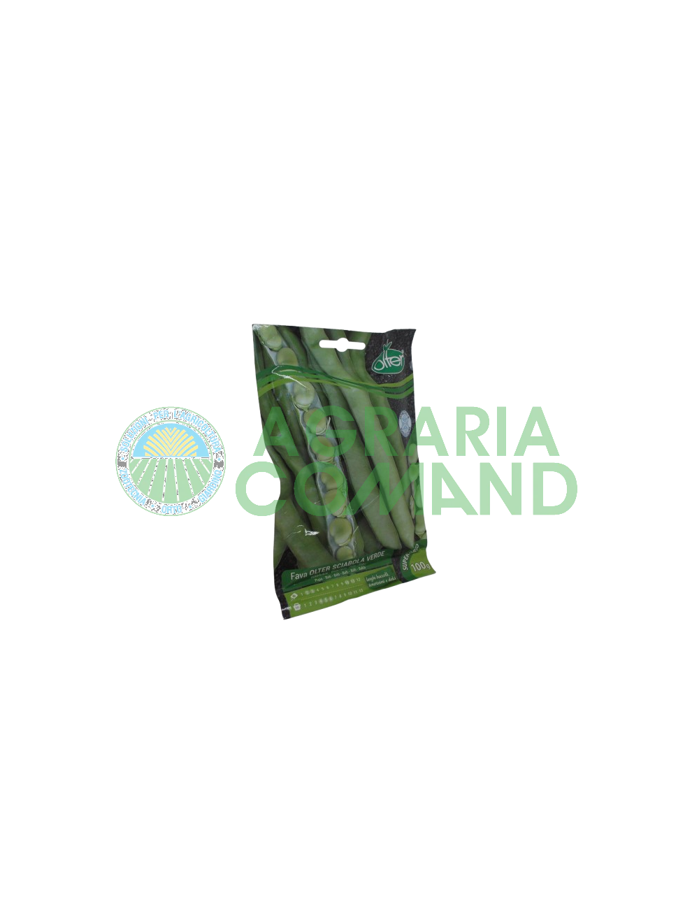Seme Fava Sciabola Verde Seme Fava Sciabola Verde