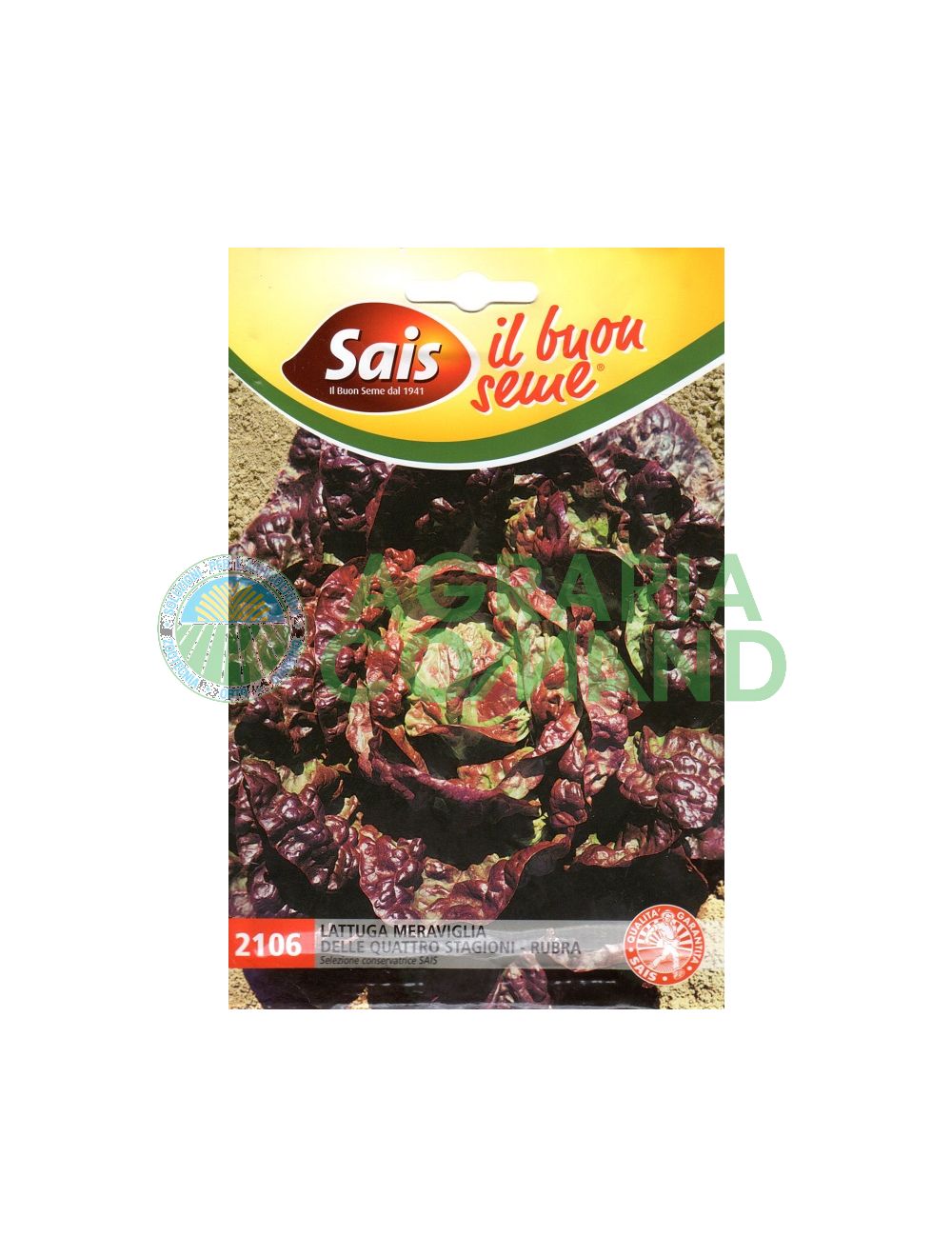 Lattuga rubra meraviglia 4 atagioni